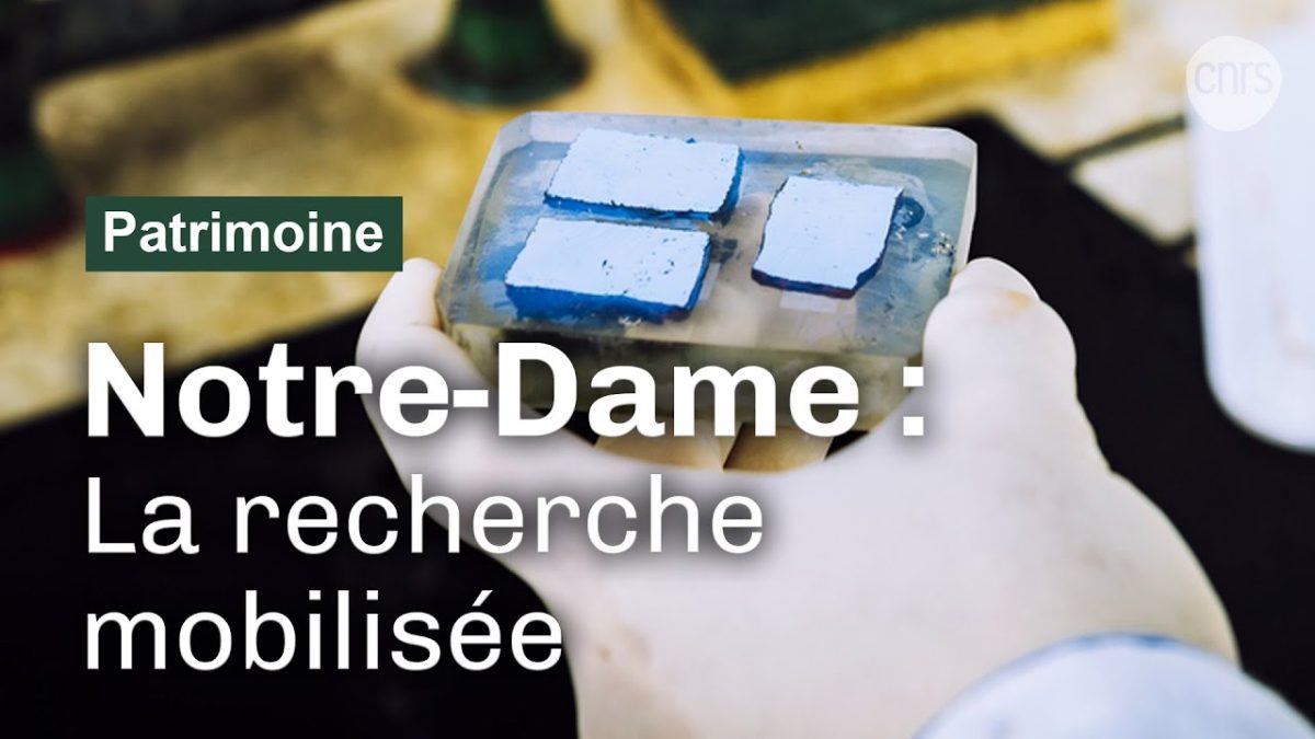 Notre-Dame de Paris, le chantier scientifique | Ça s'est aussi passé cette année | Reportage CNRS