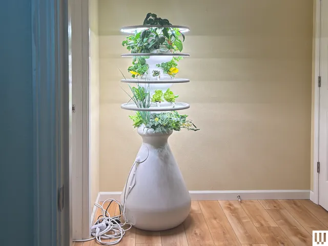 L’image contient peut-être : Plante, Plante en pot, Sol, Revêtement de sol, Intérieur, Design d'intérieur, Fleur, Arrangement floral et Pot