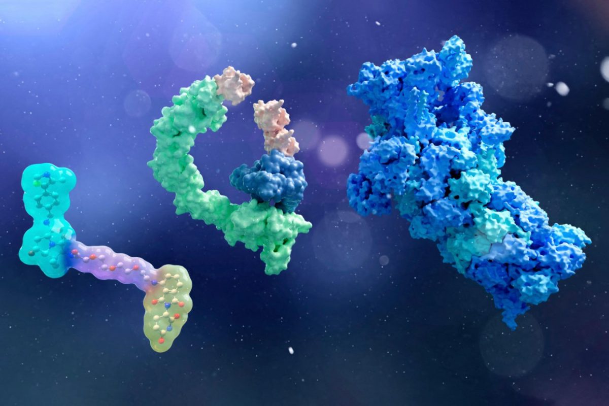 2WXCRCE Illustration of the components of proteolysis-targeting chimera (PROTAC) and some targeted protein degradation technologies. Seen are the proteolysis-targeting chimera molecule (left), an E3 ligase (green, middle) with a protein of interest (blue, middle) and ubiquitin (orange, middle), and a proteasome (blue/green, right).