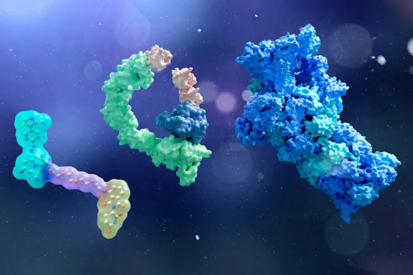 2WXCRCE Illustration des composants de la chimère ciblant la protéolyse (PROTAC) et de certaines technologies ciblées de dégradation des protéines. On voit la molécule chimère ciblant la protéolyse (à gauche), une ligase E3 (verte, au milieu) avec une protéine d'intérêt (bleu, au milieu) et de l'ubiquitine (orange, au milieu) et un protéasome (bleu/vert, à droite).
