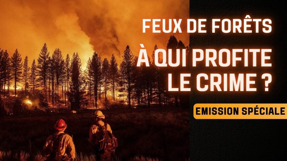 Emission spéciale : Feux de forêts : A qui profite le crime ?