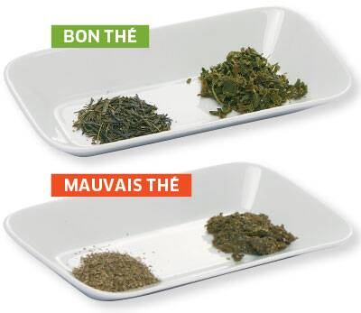 Signe d’un bon thé (en haut), les feuilles sont entières, bien gonflées une fois humides. En bas, mouture de piètre qualité où les feuilles sont réduites en poussière. Quels sont les critères d’un thé de qualité
